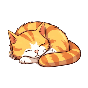 Sleeping kitty